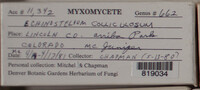 Image Associated With the Occurence